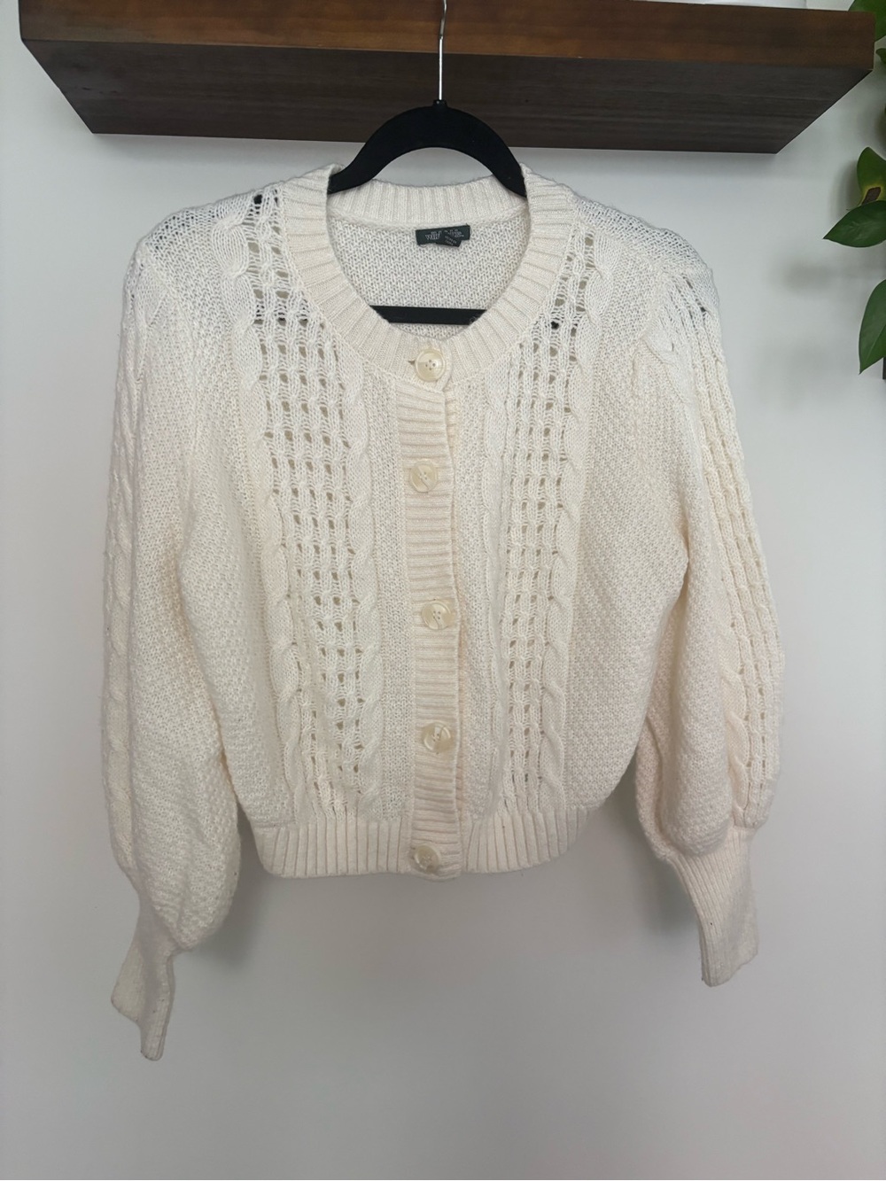 wild fable Ivory Cable Knit Button Cardigan